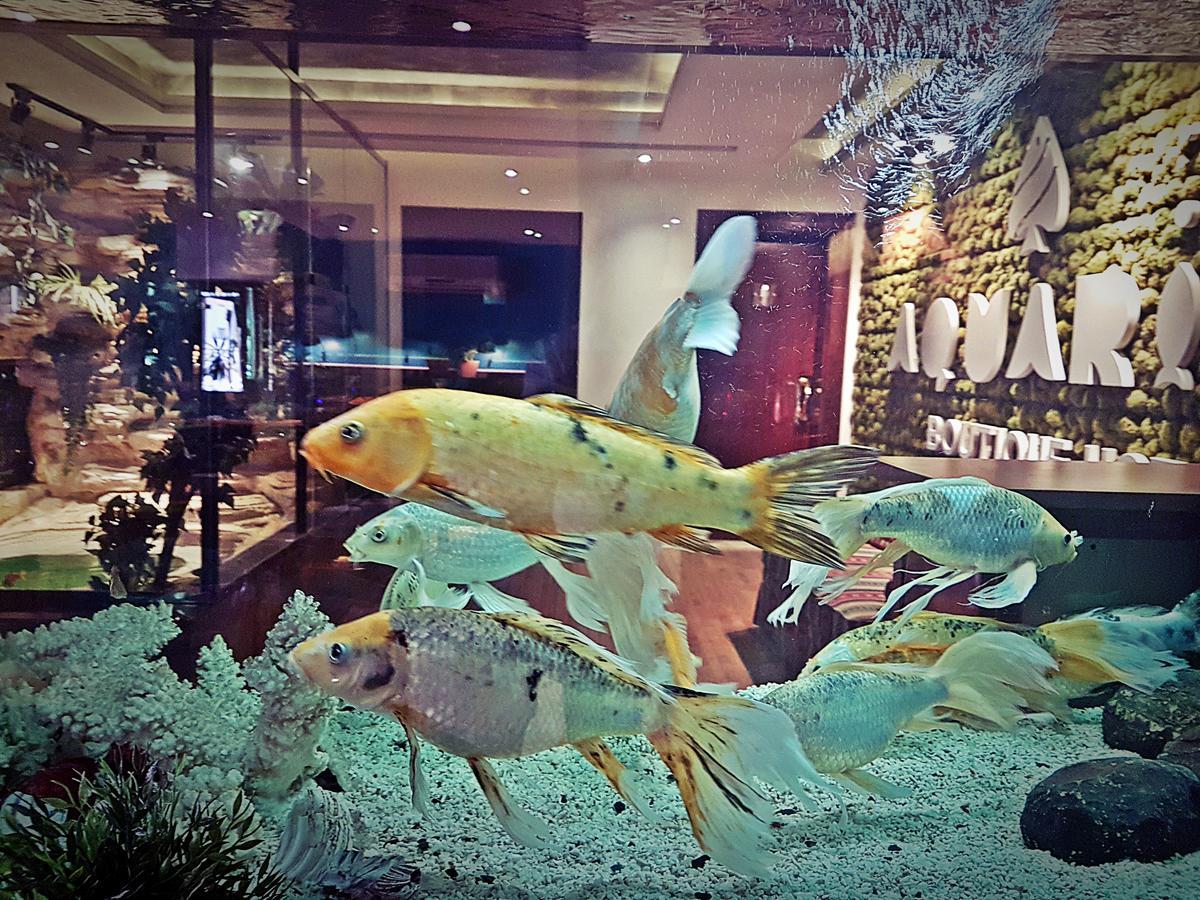 Aquarium Hotel 리야드 외부 사진