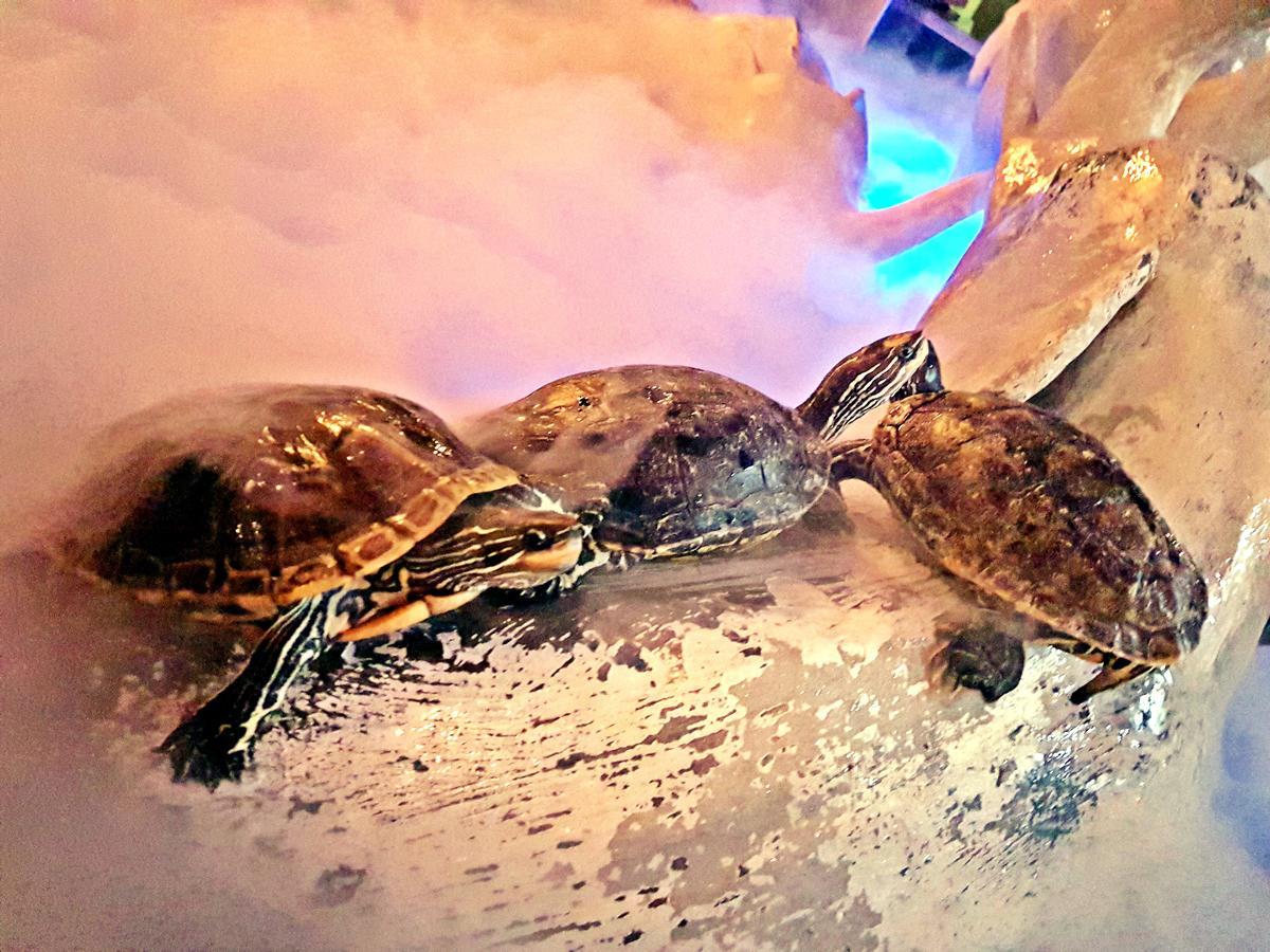 Aquarium Hotel 리야드 외부 사진